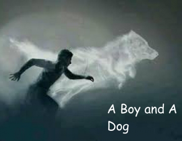 The Boy and Dog