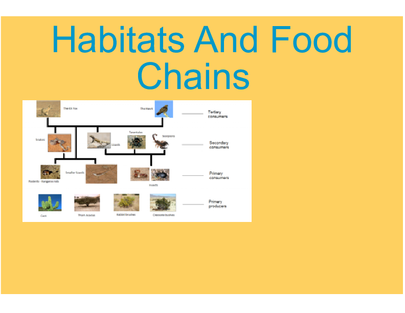 Habitats And Food Chains - Desert | Book 457889