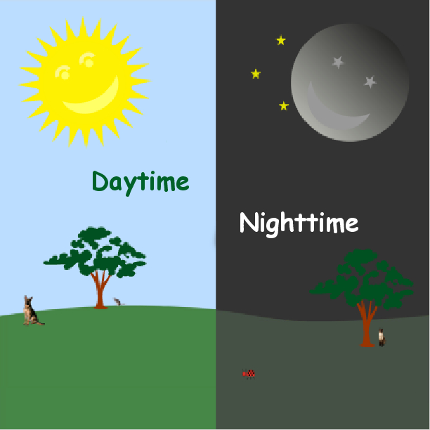 Day and night. Daytime and Night time. Day time Night time. Карточки Day and Night. Daytime Nighttime Flashcard.