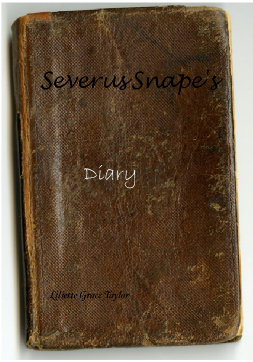 Severus Snape's Diary - This is the Prop | Book 420883